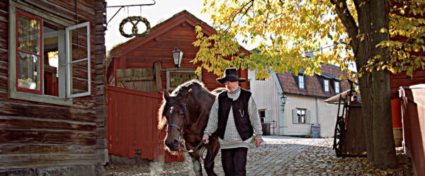 Höst i stadskvarteren på Skansen. Foto: Marie Andersson