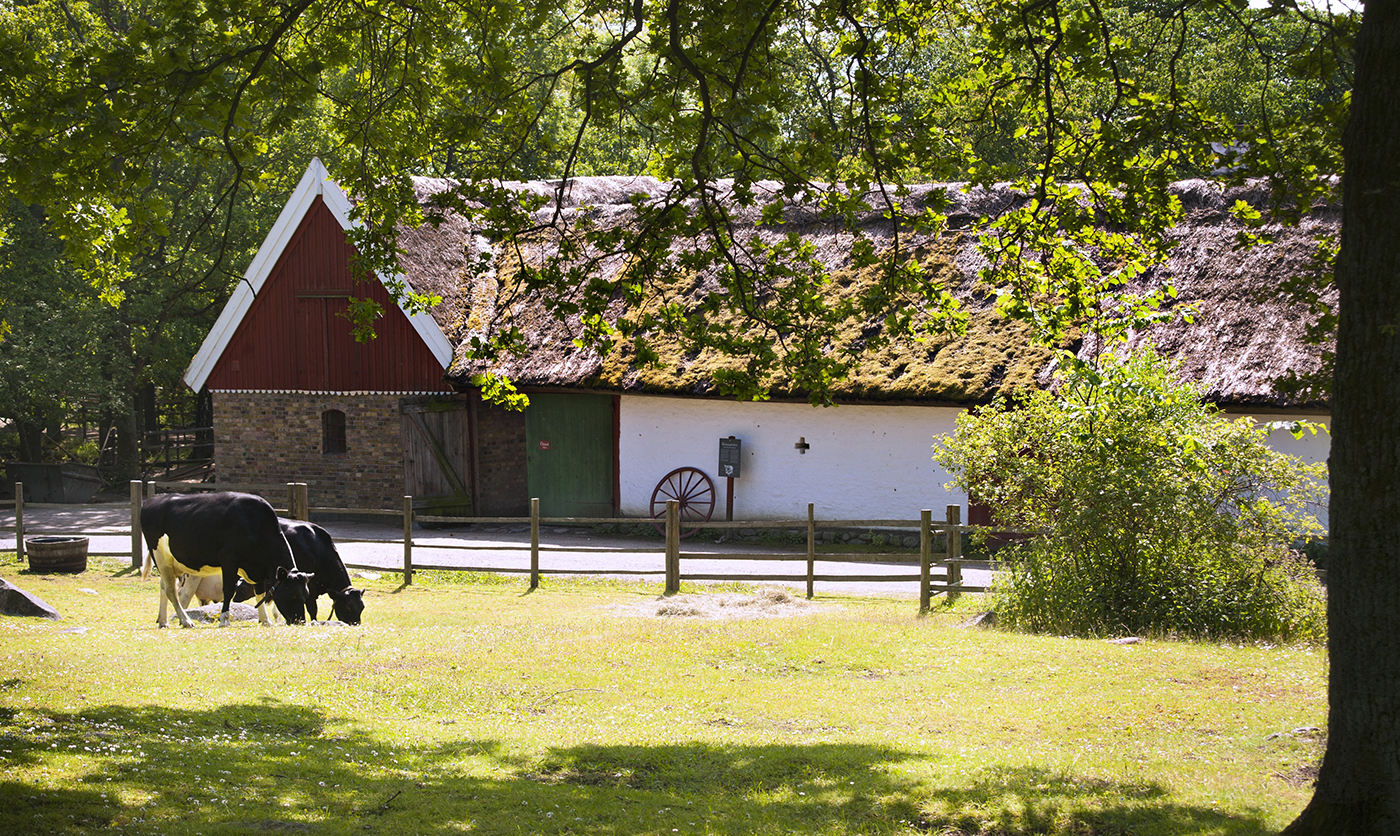Skånegården, Skansen Foto: Marie Andersson