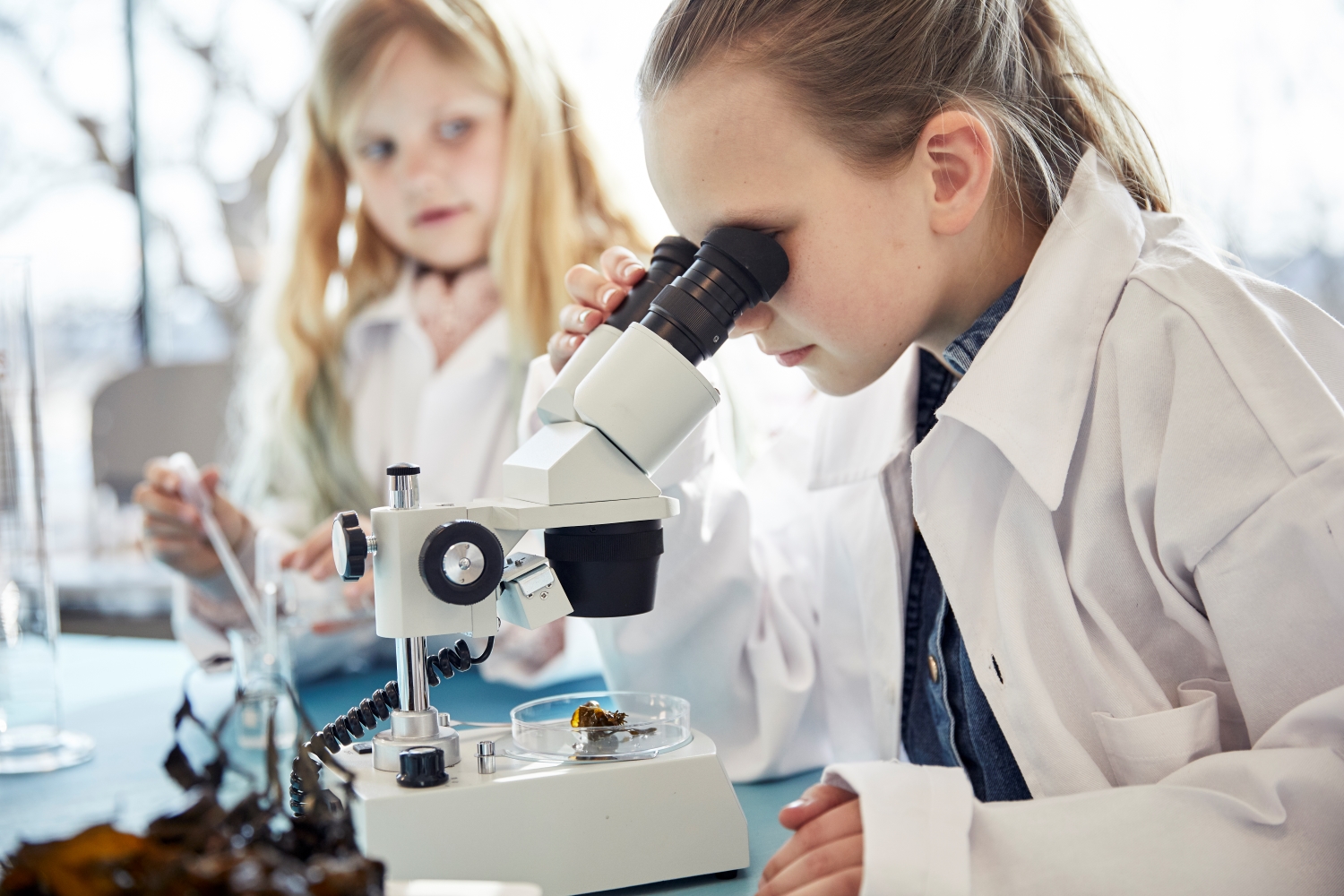 Skolklass på Baltic Sea Science Center Foto: Dan Lepp