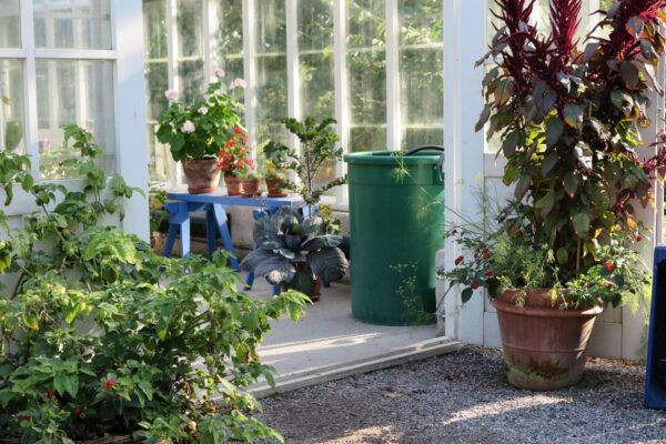 The greenhouses at Skansen, photo Maria Johansson