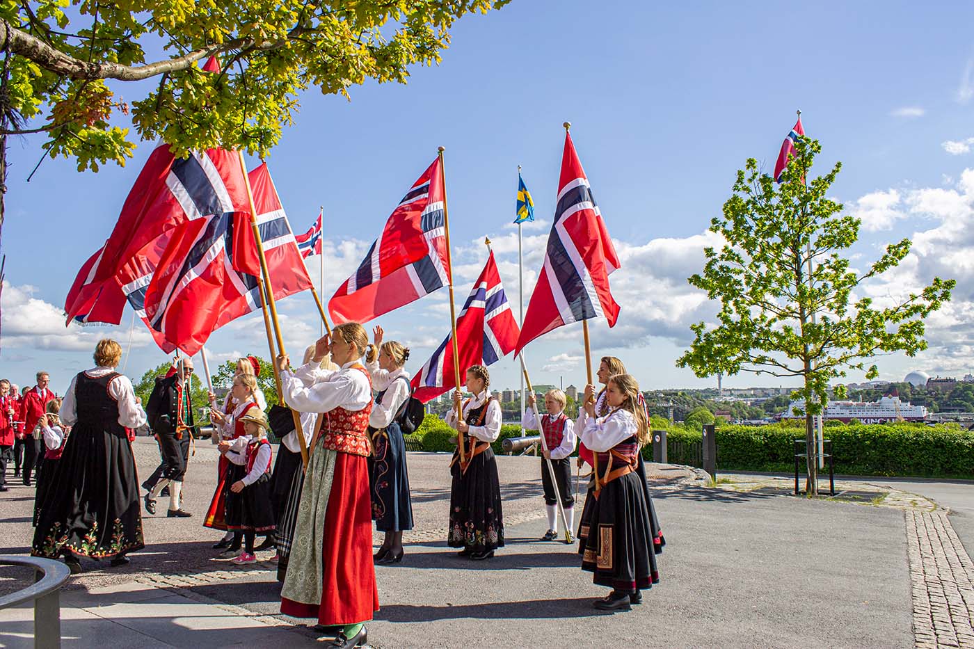 Norwegian National Day