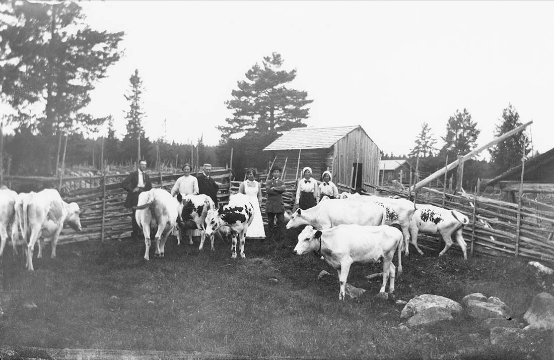 Vid Bolbergets fäbod, årtal okänt.