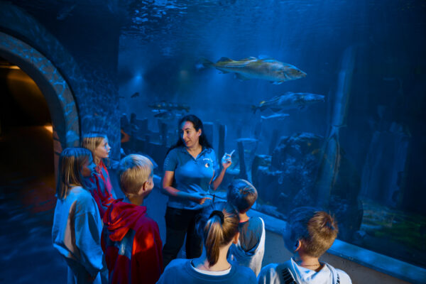 Akvariehallen i Baltic Sea Science Center