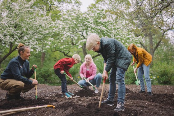 Familjeaktivitet_tradgardsdagarwebbpuff