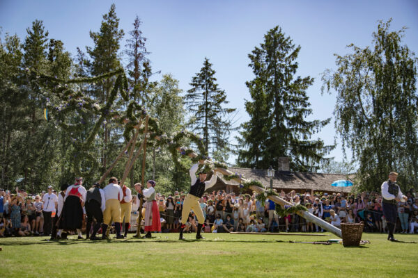 Stångresning på Tingsvallen, Skansen