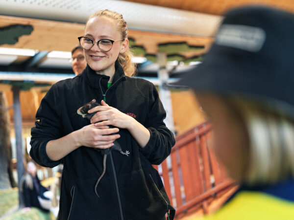 Råtta och djurvårdare på Lill-Skansen.