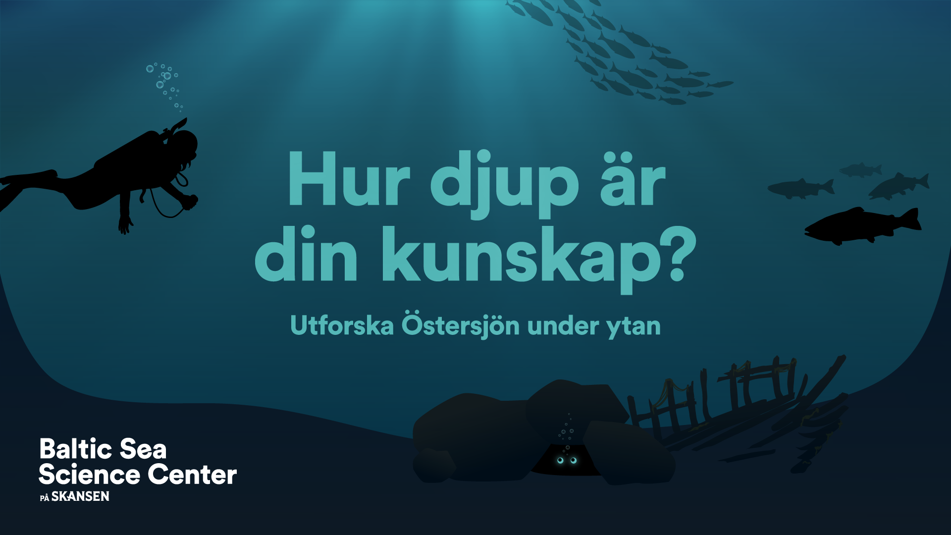 Hur djup är din kunskap?