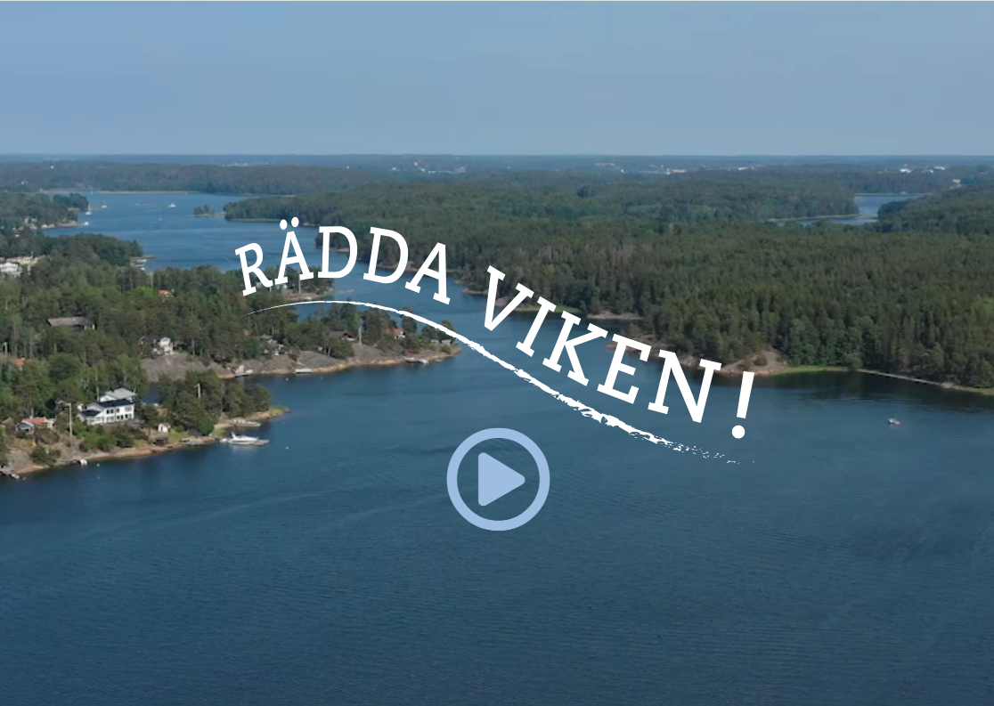 Rädda viken