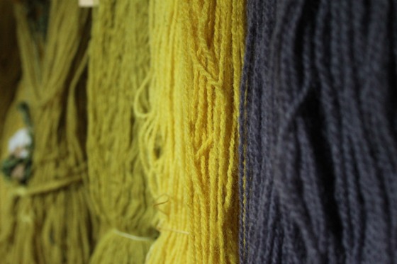 Plant coloured yarn
