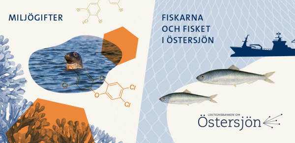 Lektionsbanken om Östersjön