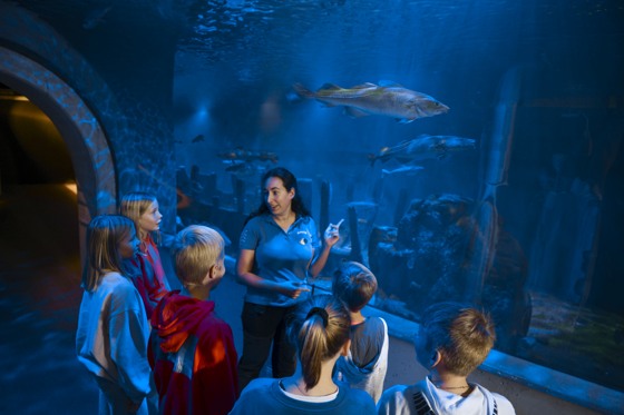 Baltic Sea Science Center