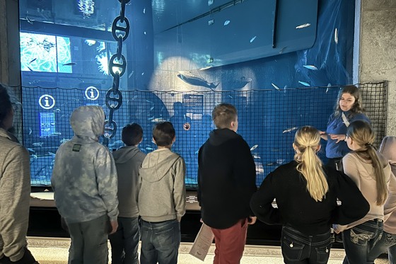 Visning i akvariehallen på Skansen