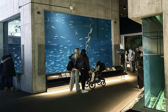 Akvariehallen Baltic Sea Science Center på Skansen.