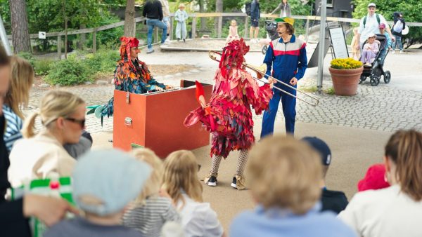 Sångstund med tupptutarna på Lill-Skansen.