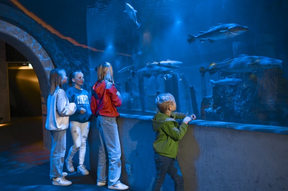 Baltic-Sea-Science-Center.jpg