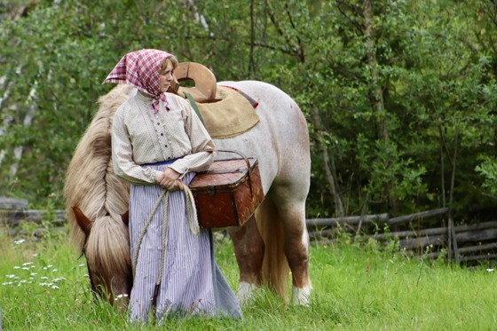 Buföring
