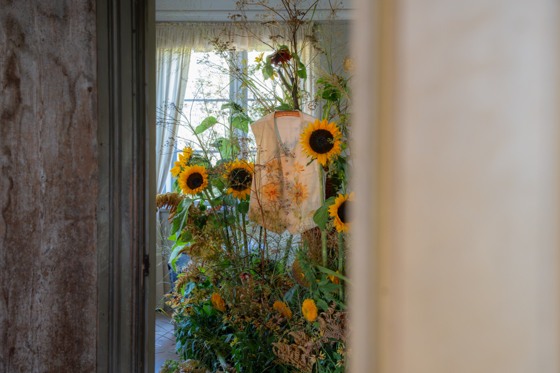 Flower exhibition 2025