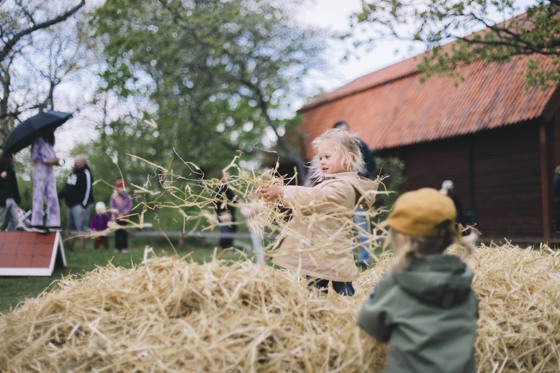 Lek i höstacken på Skansen