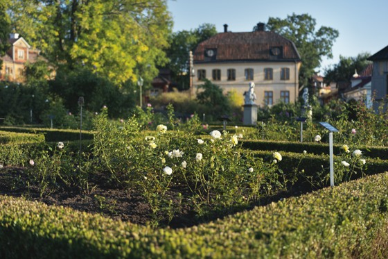 Rosengården